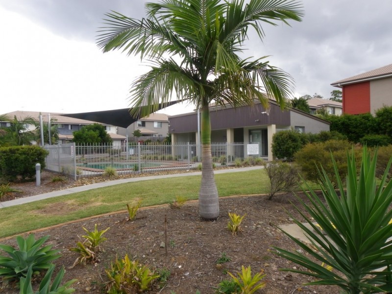 TR/99 Peverell Street, Hillcrest QLD 4118