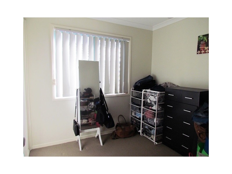 17 Musk Ave, Upper Coomera QLD 4209