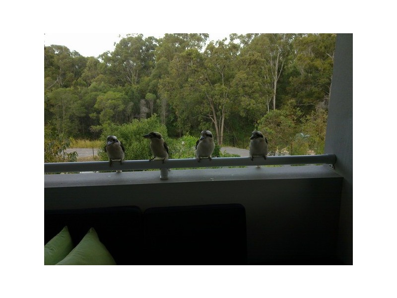 1/45 Lancashire Drive, Mudgeeraba QLD 4213