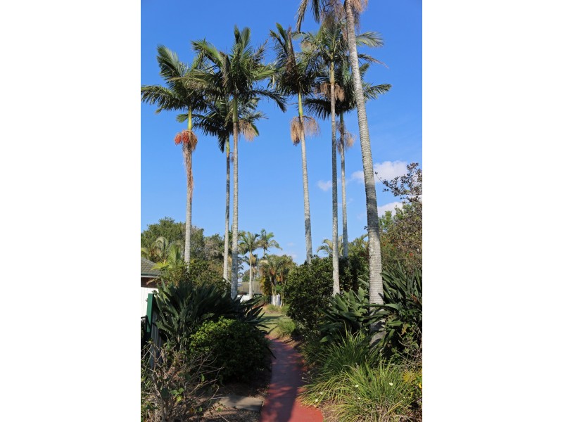 25 / 39 PITTA PLACE, Carseldine QLD 4034