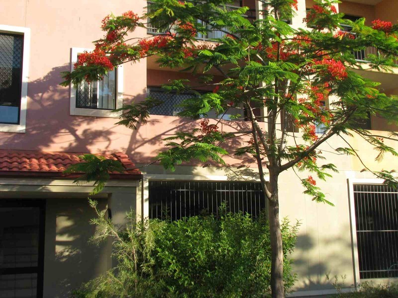 20/2 Geraldton Drive, Varsity Lakes QLD 4227