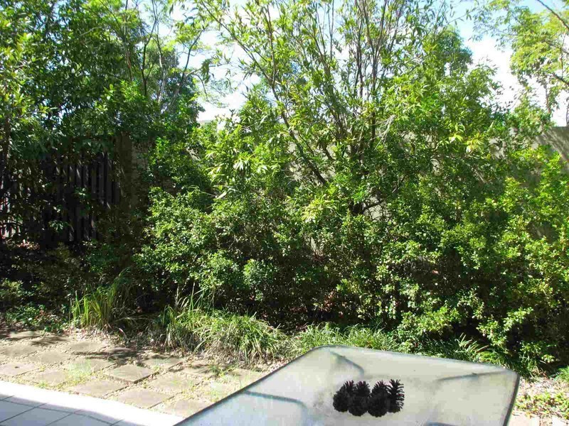 19/2 Geraldton drive, Varsity Lakes QLD 4227