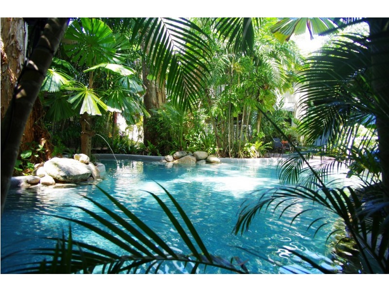 6 Triton Street, Palm Cove QLD 4879