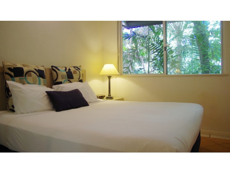 6 Triton Street, Palm Cove QLD 4879