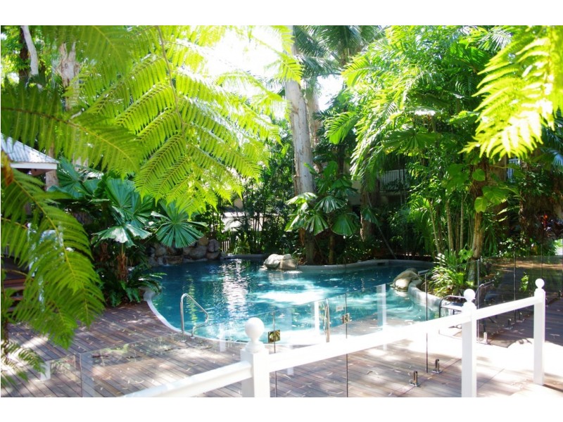 6 Triton Street, Palm Cove QLD 4879