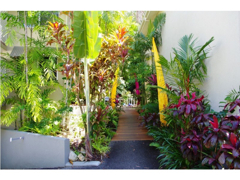6 Triton Street, Palm Cove QLD 4879