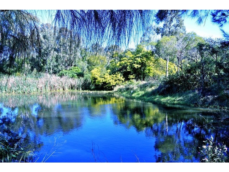 15/40 Hargreaves Rd, Manly West QLD 4179