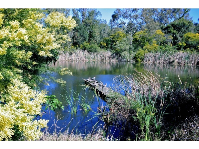 46/ 40 Hargreaves Rd, Manly West QLD 4179