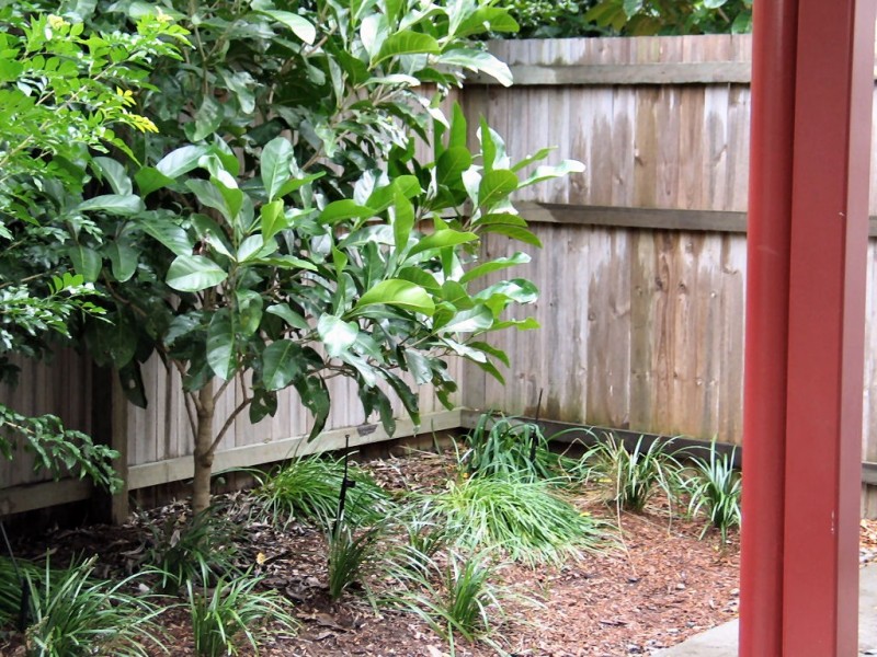 Meadowbrook QLD 4131