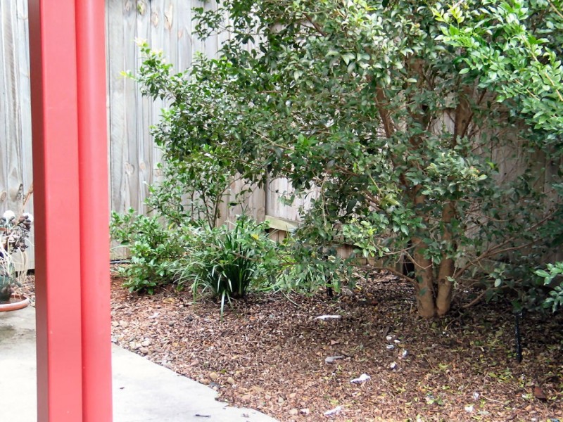 Meadowbrook QLD 4131