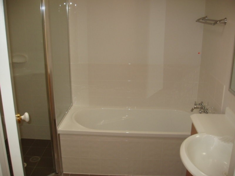 3 Bos Dr, Coomera QLD 4209