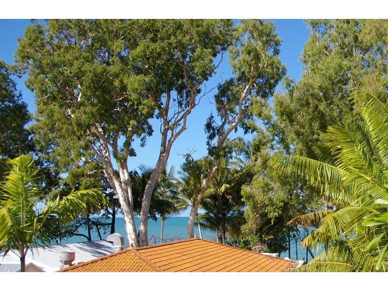 139 Williams Esplanade, Palm Cove QLD 4879