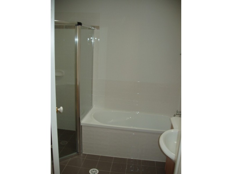 3 Bos Dr, Coomera QLD 4209