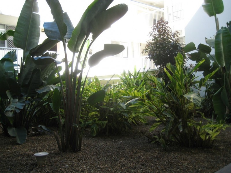 27, 217-223 Tufnell Road, Banyo QLD 4014