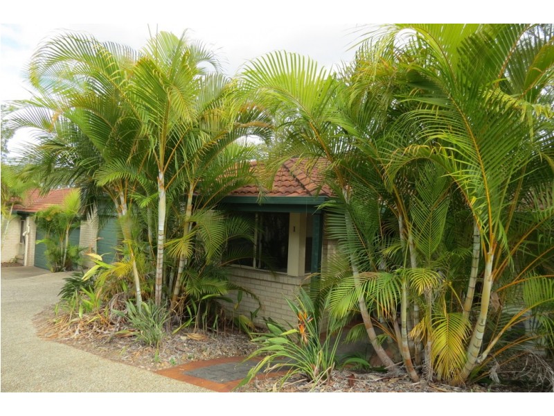 1/497 PINE RIDGE ROAD, Runaway Bay QLD 4216
