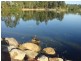 2 Sienna Street, Forest Lake QLD 4078