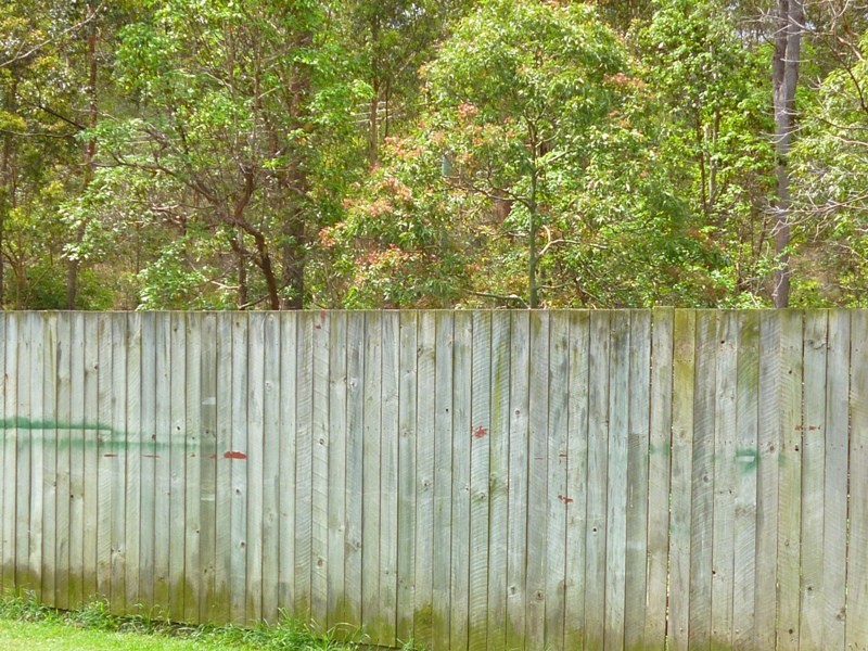 13 Fortrose Place, Ferny Grove QLD 4055