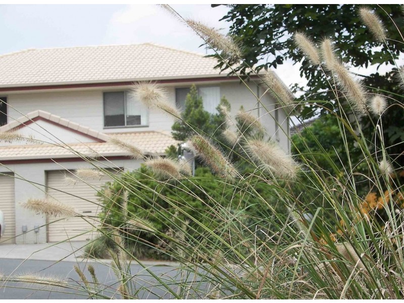 21 Emma, Bracken Ridge QLD 4017