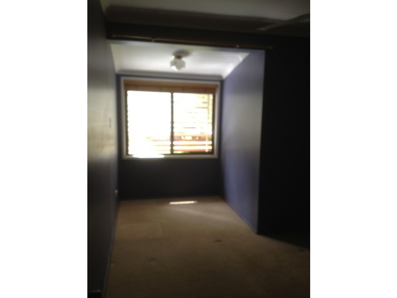 17 Willena, Boondall QLD 4034