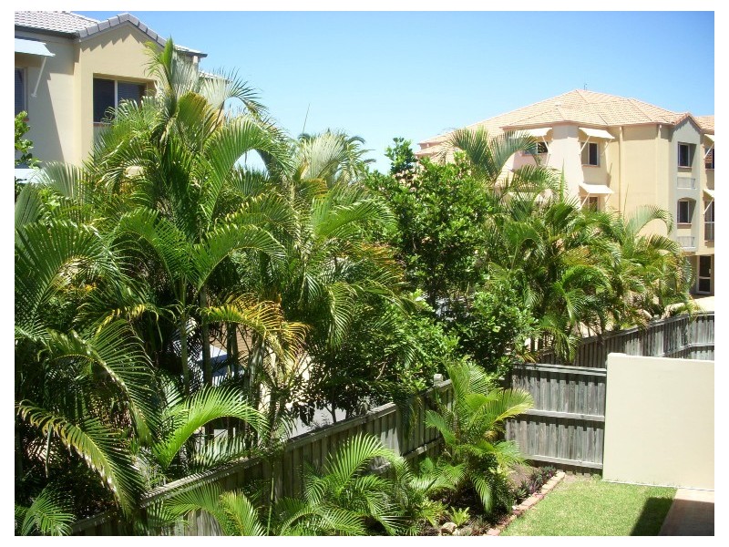 11/82 LIMETREE PARADE, Runaway Bay QLD 4216