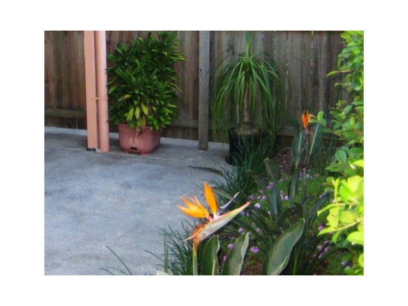 U31/220 Government Road, Forest Lake QLD 4078