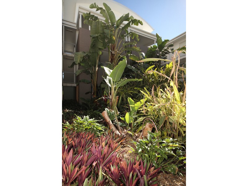 14, 219-223 Tufnell Road, Banyo QLD 4014