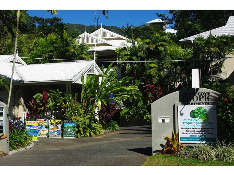 6 Triton Street, Palm Cove QLD 4879