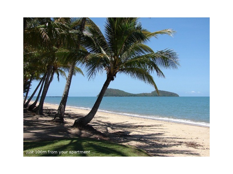 6 Triton Street, Palm Cove QLD 4879