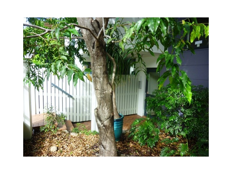 71 Birley Street, Spring Hill QLD 4000