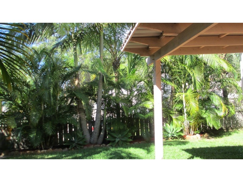 Reedy Creek QLD 4227