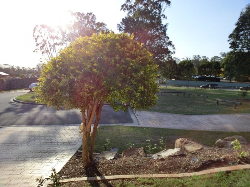 15 Killarney, Parkinson QLD 4115