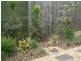 72 Webster Road, Deception Bay QLD 4508