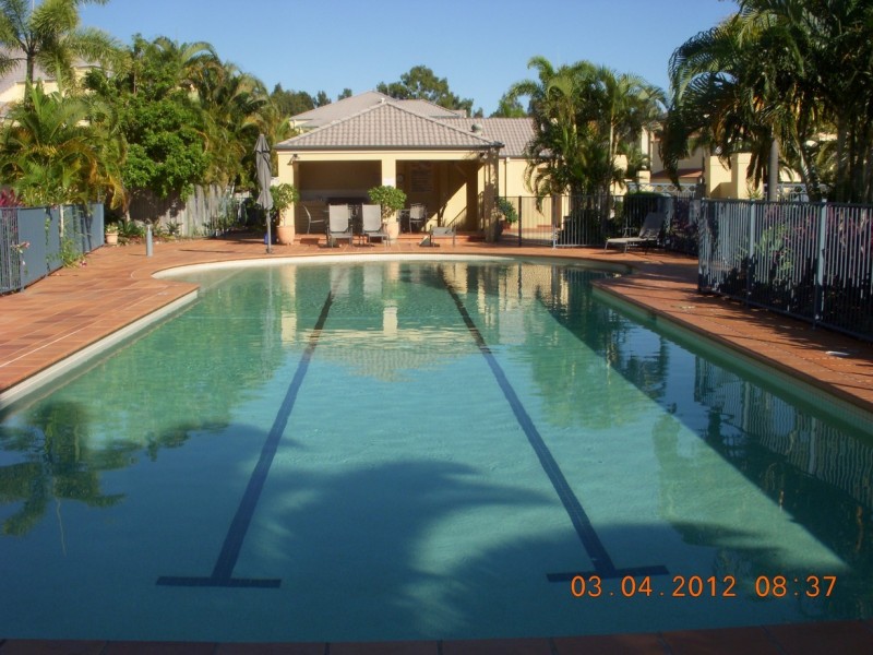 41/82 Limetree Parade, Runaway Bay QLD 4216