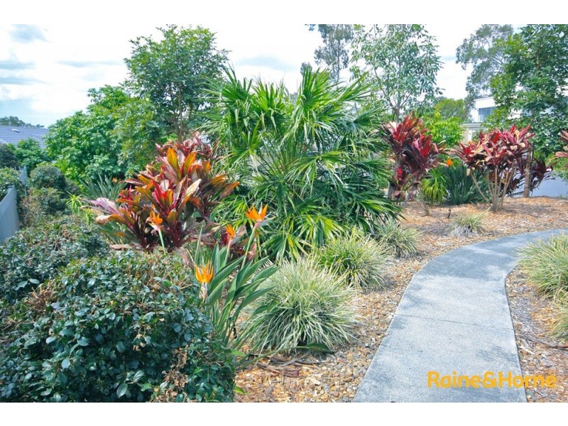 336 King Ave, Durack QLD 4077