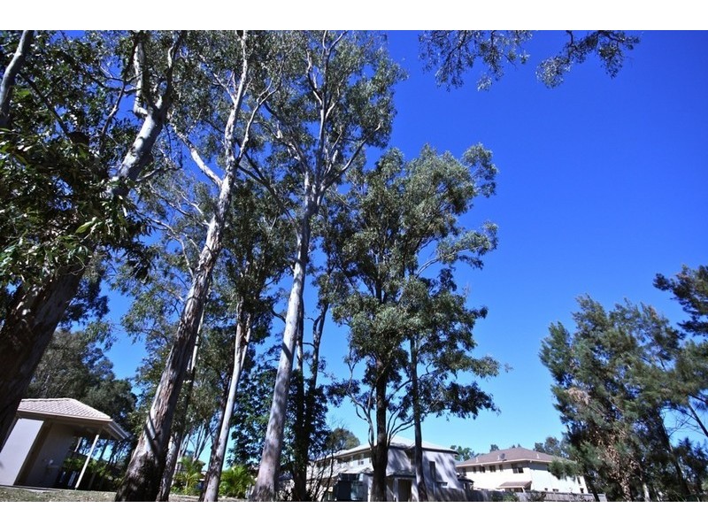 24/40 Hargreaves Road, Manly West QLD 4179