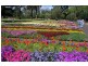 Toowoomba QLD 4350
