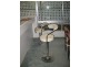 Spring Hill QLD 4000