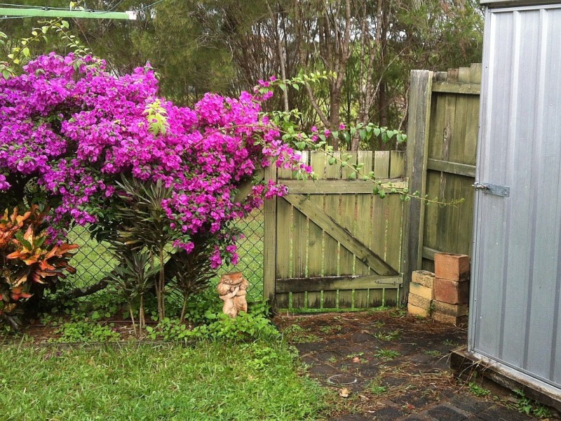 93/97-137 Edmund Rice Dr, Southport QLD 4215