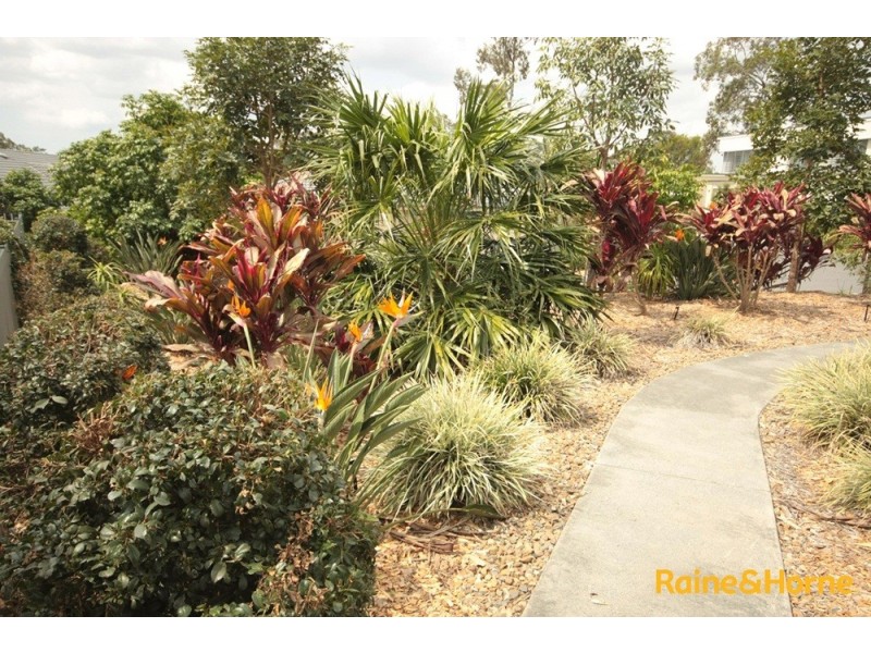 336 King Avenue, Durack QLD 4077