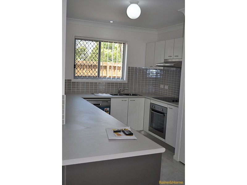 19 Platinum Place, Oxley QLD 4075