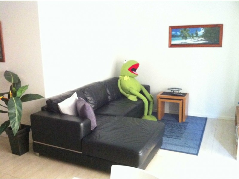 52-62 Newstead Terrace, Newstead QLD 4006