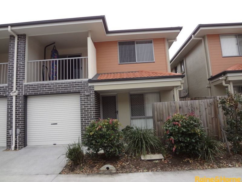 19 Platinum Place, Oxley QLD 4075