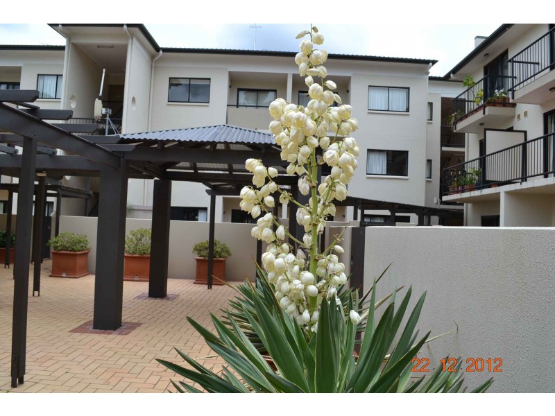604/448 Boundary, Spring Hill QLD 4000