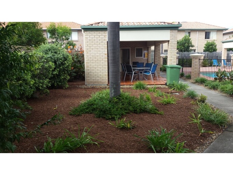 50 / 2 BOS Drive, Coomera QLD 4209