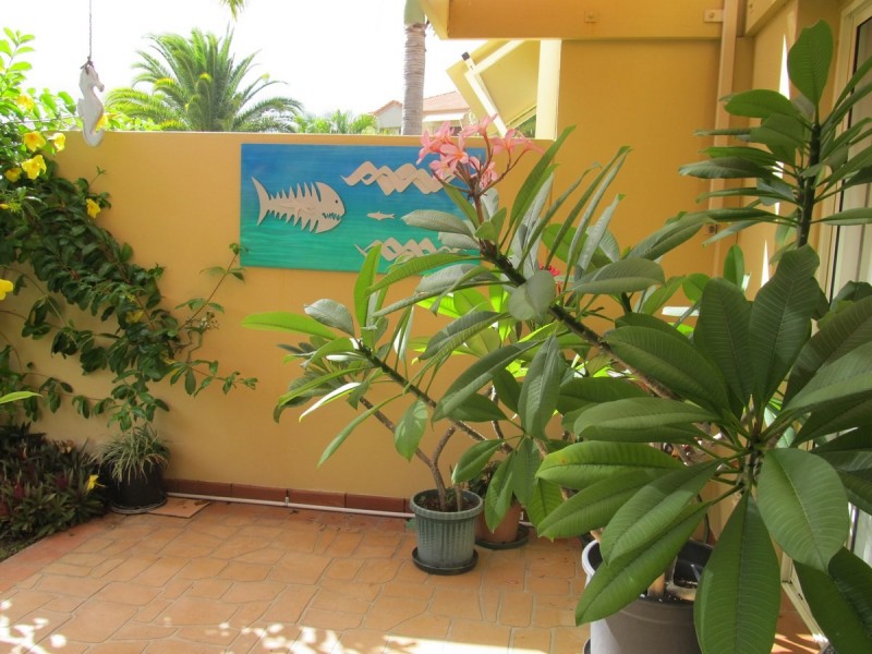 44/82 Limetree Parade, Runaway Bay QLD 4216