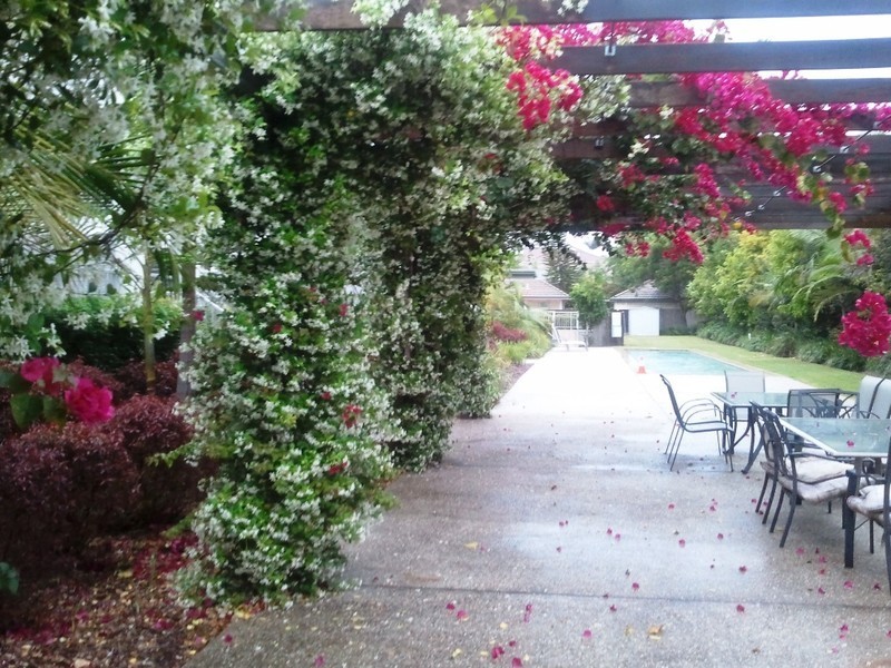 U19 / 46 Buxton Street, Ascot QLD 4007