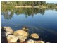 153 Woogaroo Street, Forest Lake QLD 4078