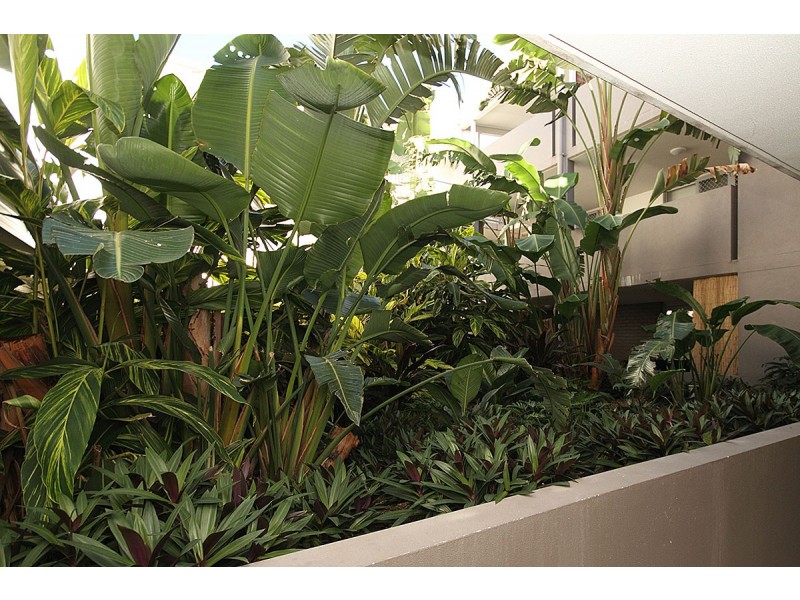 06, 223 Tufnell Road, Banyo QLD 4014