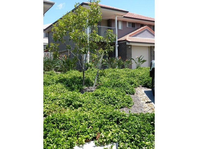 North Lakes QLD 4509