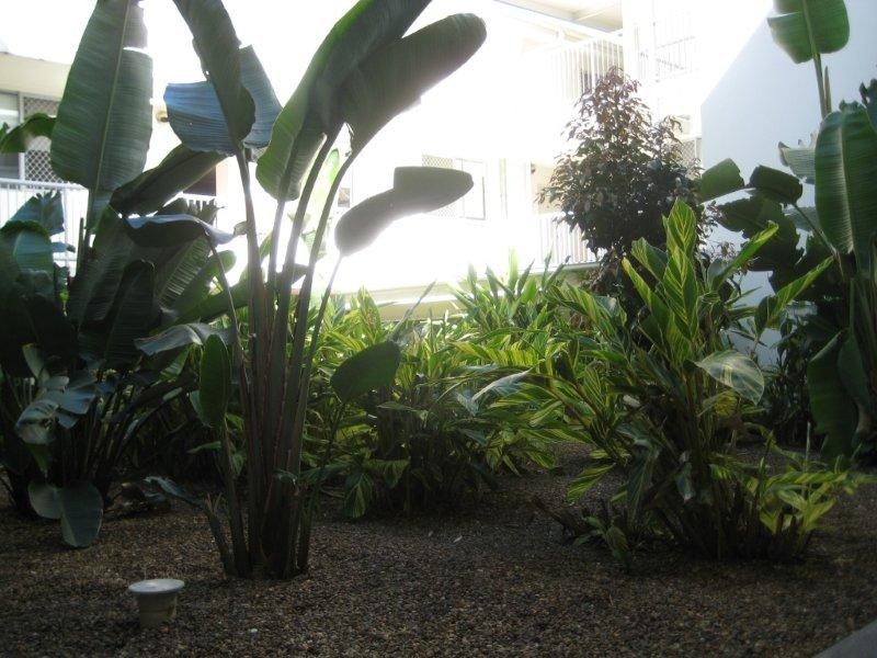 17, 219/223 Tufnell Road, Banyo QLD 4014